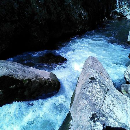 Odmaraliste Vlasko Zdrelo Pirot Bilik gambar