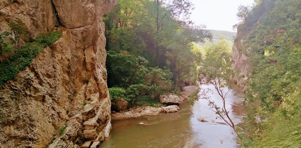 Odmaraliste Vlasko Zdrelo Pirot Luaran gambar