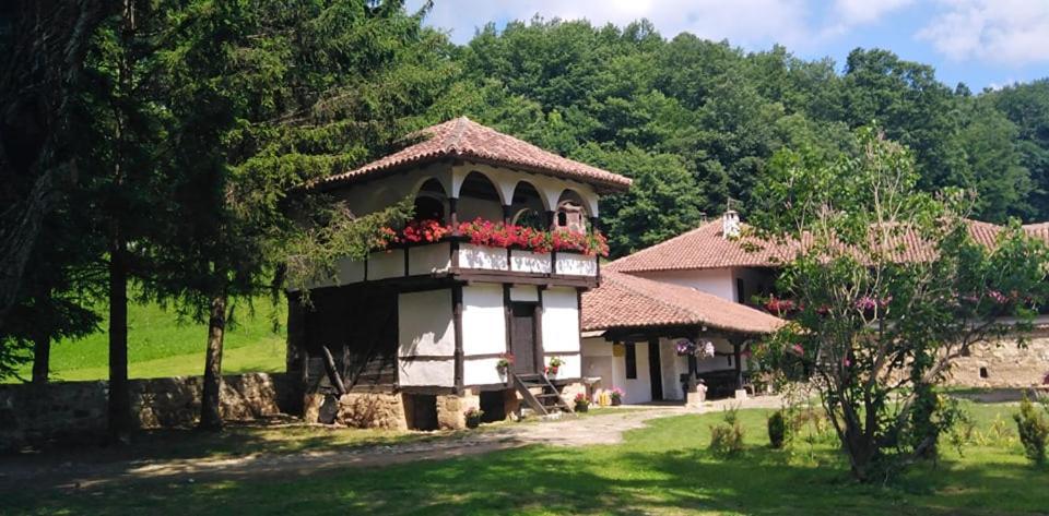 Odmaraliste Vlasko Zdrelo Pirot Luaran gambar