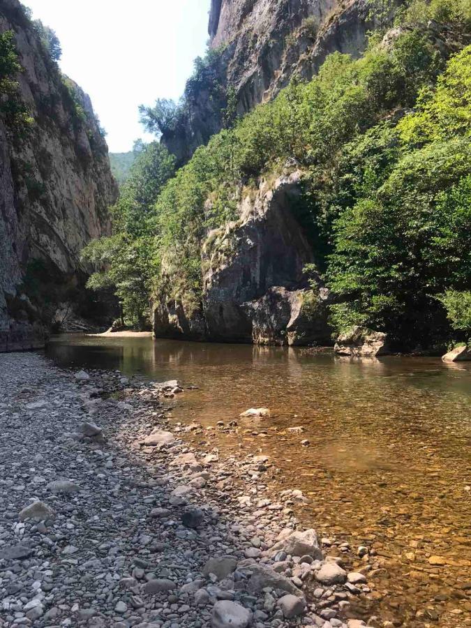 Odmaraliste Vlasko Zdrelo Pirot Luaran gambar