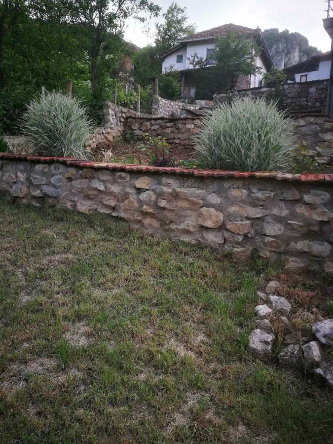 Odmaraliste Vlasko Zdrelo Pirot Luaran gambar